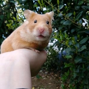 Meet your Posher, Bri